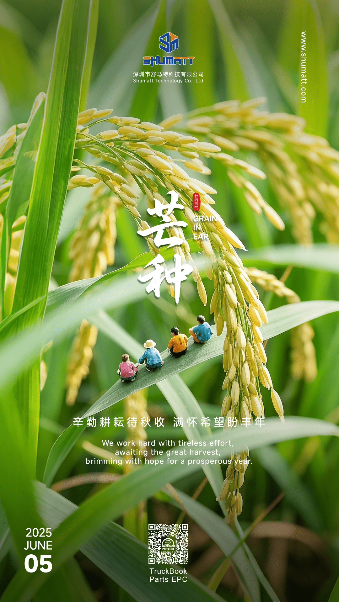 1749112669766326.png 芒种海报_new.png